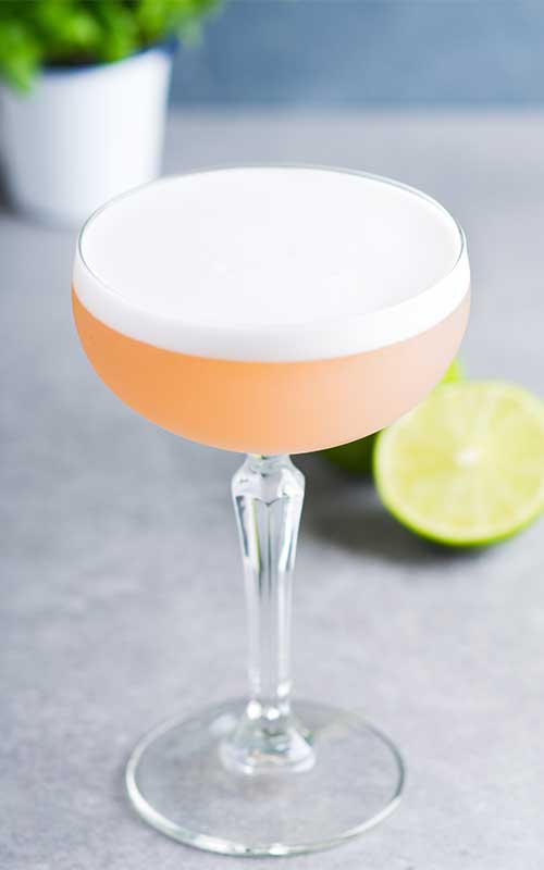 How to Make a Clover Club Cocktail