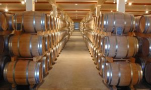 Beer barrels in a massive cellar